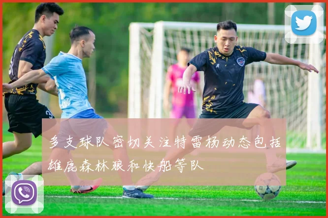 多支球队密切关注特雷杨动态包括雄鹿森林狼和快船等队